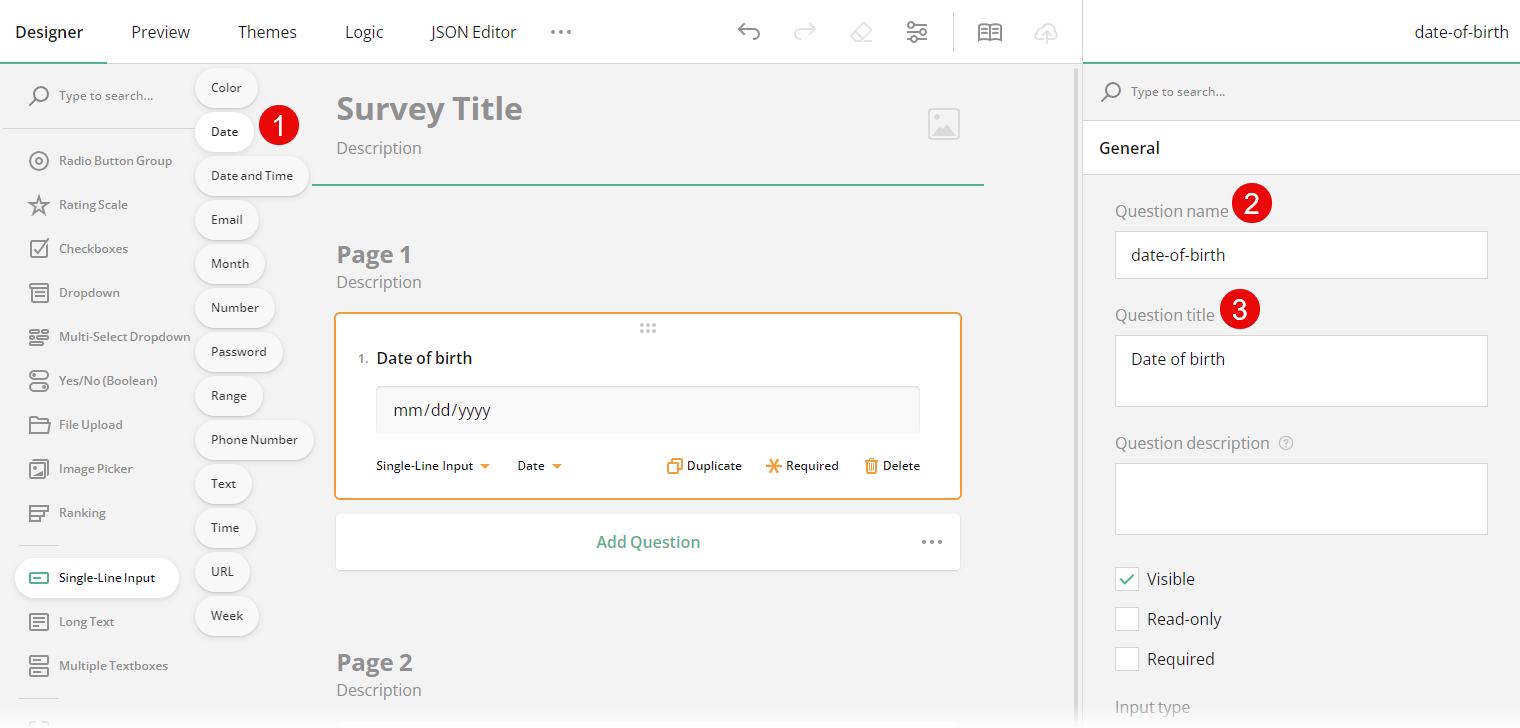 Single-Line Input: Date type